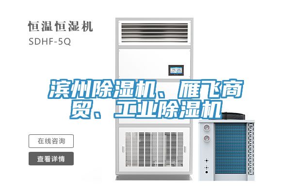 濱州除濕機(jī)、雁飛商貿(mào)、工業(yè)除濕機(jī)