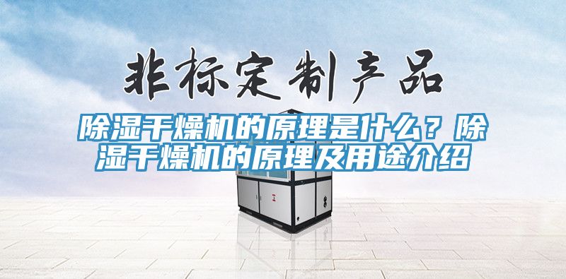 除濕干燥機(jī)的原理是什么？除濕干燥機(jī)的原理及用途介紹