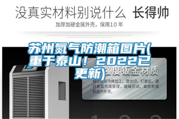 蘇州氮氣防潮箱圖片(重于泰山！2022已更新)