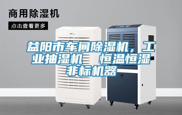 益陽市車間除濕機，工業(yè)抽濕機  恒溫恒濕非標機器