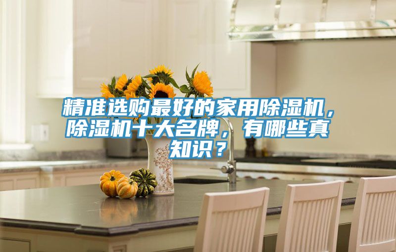 精準選購最好的家用除濕機，除濕機十大名牌，有哪些真知識？