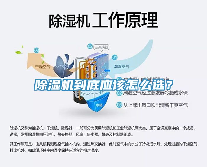 除濕機到底應該怎么選？
