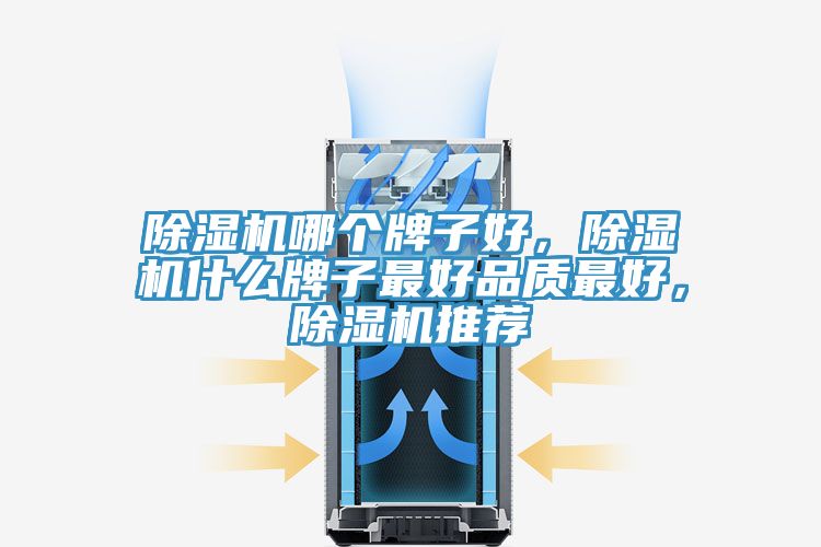 除濕機哪個牌子好，除濕機什么牌子最好品質(zhì)最好，除濕機推薦