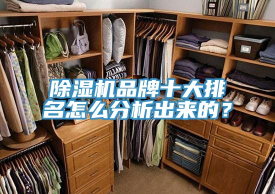 除濕機(jī)品牌十大排名怎么分析出來(lái)的？