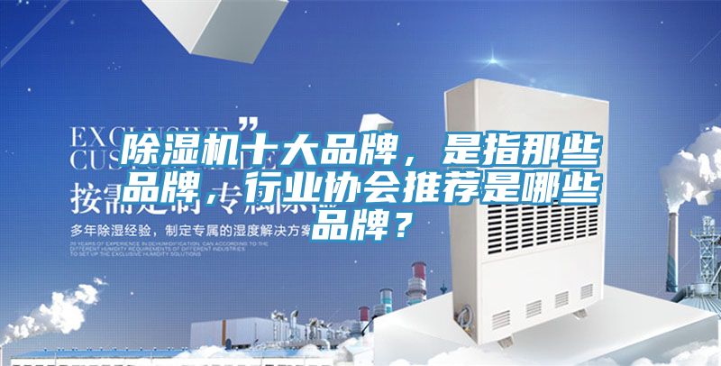除濕機十大品牌，是指那些品牌，行業(yè)協會推薦是哪些品牌？