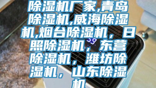 除濕機廠家,青島除濕機,威海除濕機,煙臺除濕機，日照除濕機，東營除濕機，濰坊除濕機，山東除濕機