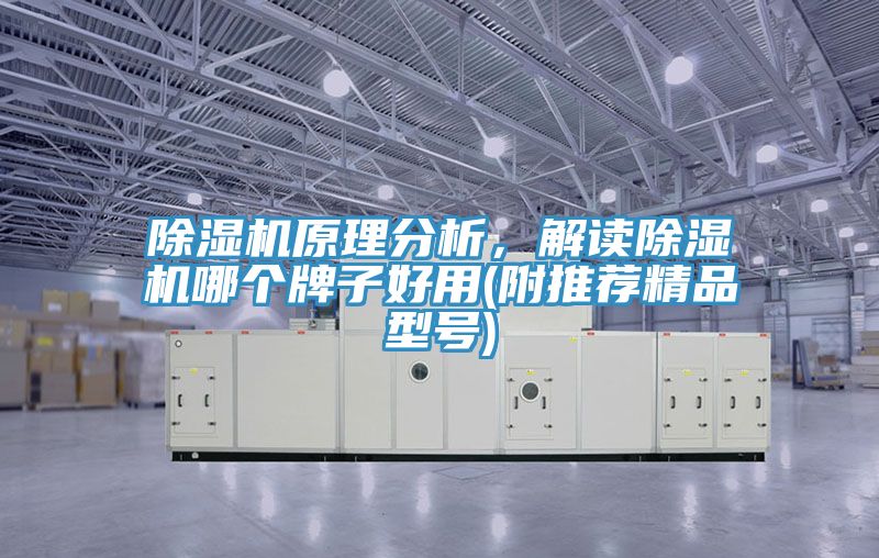 除濕機(jī)原理分析，解讀除濕機(jī)哪個(gè)牌子好用(附推薦精品型號(hào))