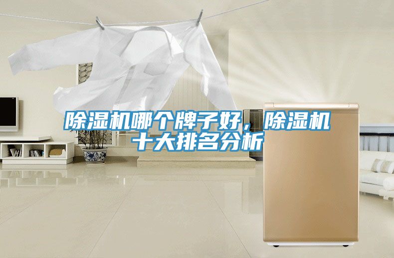 除濕機哪個牌子好，除濕機十大排名分析
