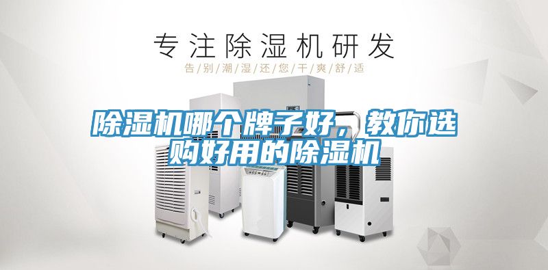 除濕機哪個牌子好，教你選購好用的除濕機