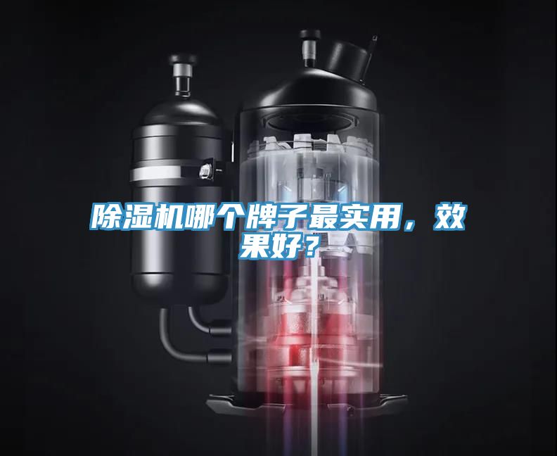 除濕機哪個牌子最實用，效果好？