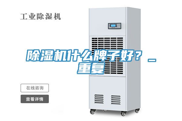 除濕機什么牌子好？_重復(fù)