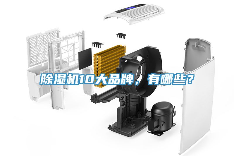除濕機(jī)10大品牌，有哪些？