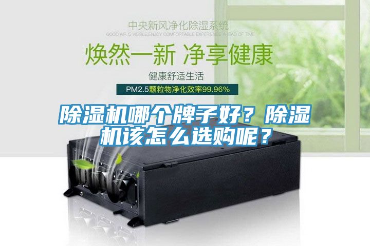 除濕機(jī)哪個(gè)牌子好？除濕機(jī)該怎么選購呢？