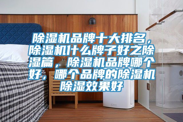 除濕機(jī)品牌十大排名，除濕機(jī)什么牌子好之除濕篇，除濕機(jī)品牌哪個好，哪個品牌的除濕機(jī)除濕效果好