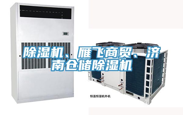 除濕機、雁飛商貿(mào)、濟南倉儲除濕機