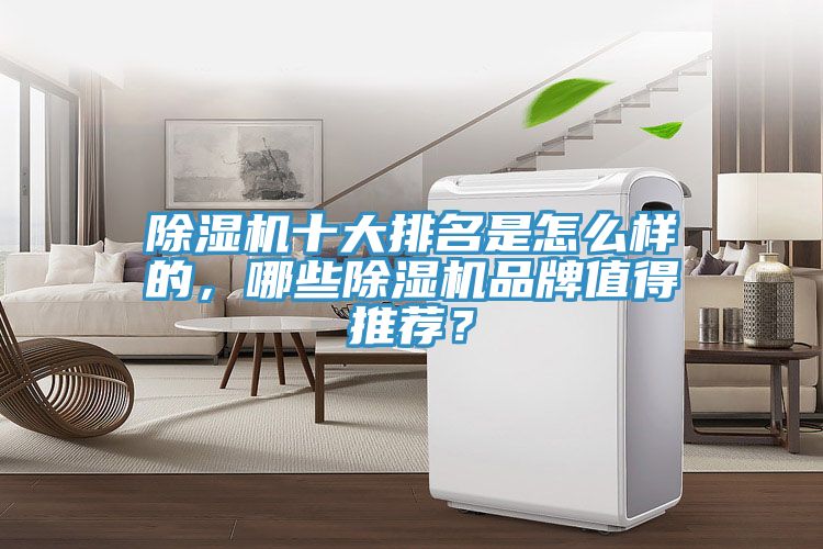 除濕機(jī)十大排名是怎么樣的，哪些除濕機(jī)品牌值得推薦？