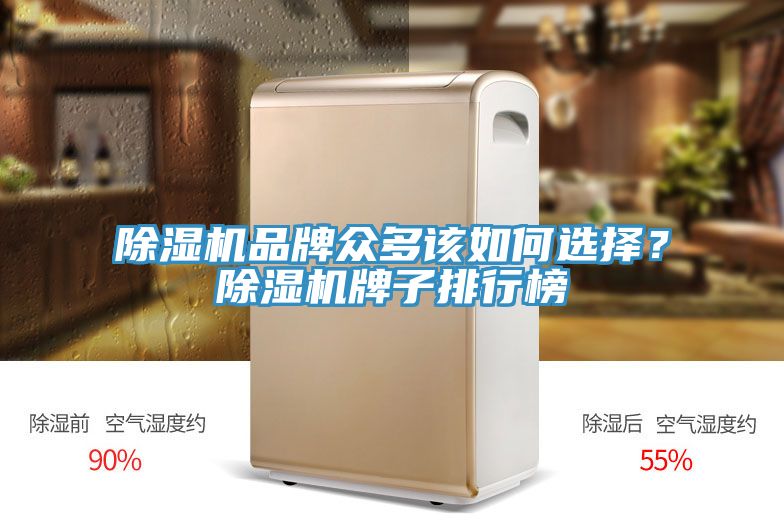 除濕機(jī)品牌眾多該如何選擇？除濕機(jī)牌子排行榜