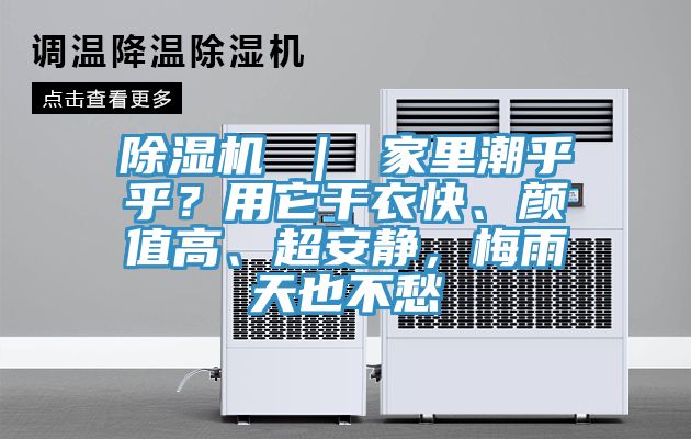 除濕機 ｜ 家里潮乎乎？用它干衣快、顏值高、超安靜，梅雨天也不愁