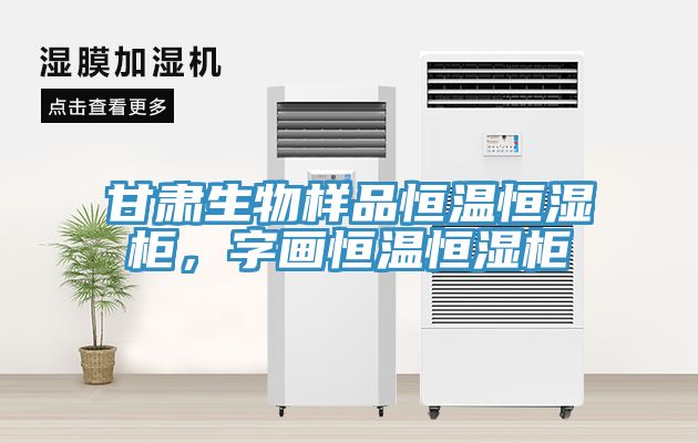 甘肅生物樣品恒溫恒濕柜，字畫恒溫恒濕柜