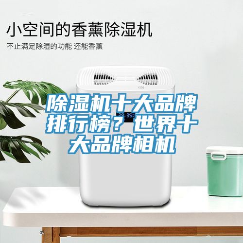 除濕機十大品牌排行榜？世界十大品牌相機