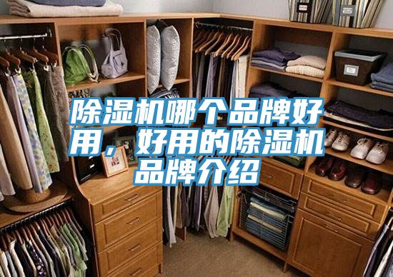 除濕機(jī)哪個(gè)品牌好用，好用的除濕機(jī)品牌介紹