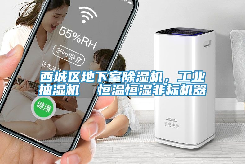西城區(qū)地下室除濕機(jī)，工業(yè)抽濕機(jī)  恒溫恒濕非標(biāo)機(jī)器