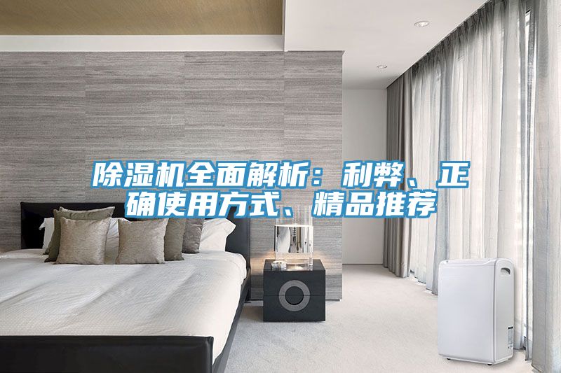 除濕機全面解析：利弊、正確使用方式、精品推薦