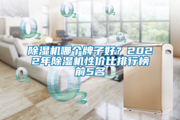 除濕機(jī)哪個(gè)牌子好？2022年除濕機(jī)性價(jià)比排行榜前5名