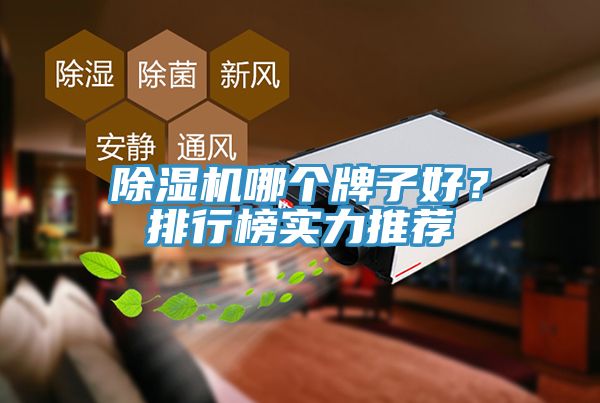 除濕機(jī)哪個(gè)牌子好？排行榜實(shí)力推薦