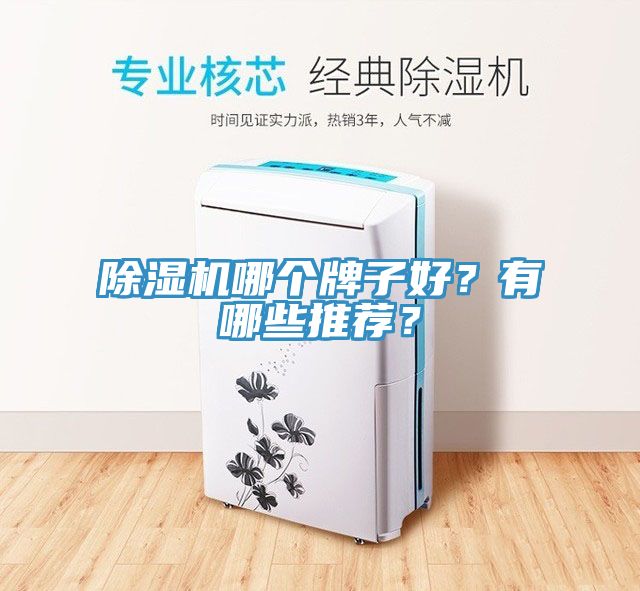 除濕機(jī)哪個(gè)牌子好？有哪些推薦？
