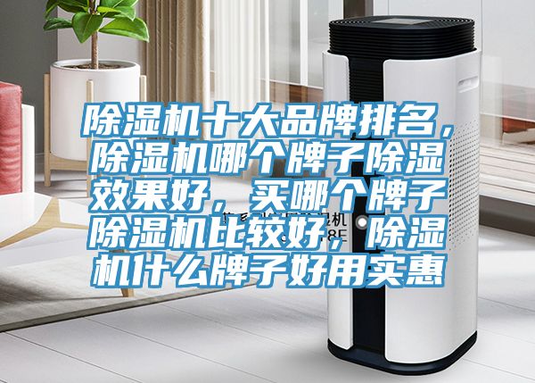 除濕機(jī)十大品牌排名，除濕機(jī)哪個(gè)牌子除濕效果好，買哪個(gè)牌子除濕機(jī)比較好，除濕機(jī)什么牌子好用實(shí)惠