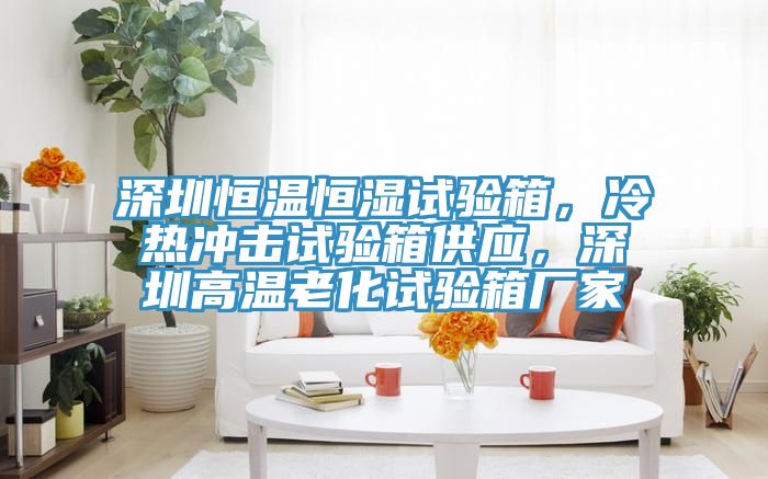 深圳恒溫恒濕試驗箱，冷熱沖擊試驗箱供應，深圳高溫老化試驗箱廠家