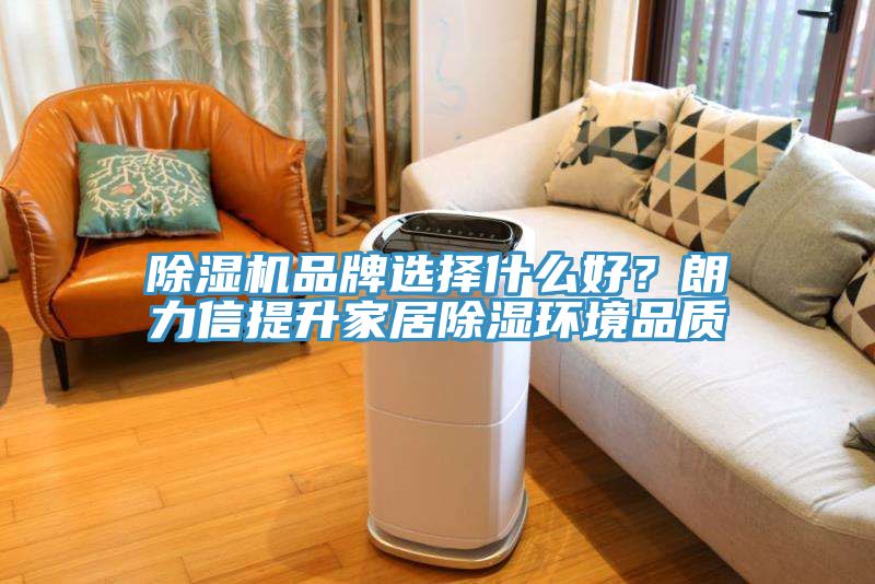除濕機(jī)品牌選擇什么好？朗力信提升家居除濕環(huán)境品質(zhì)