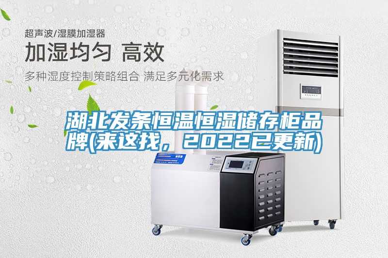 湖北發(fā)條恒溫恒濕儲(chǔ)存柜品牌(來(lái)這找，2022已更新)