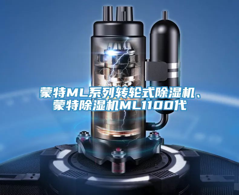 蒙特ML系列轉(zhuǎn)輪式除濕機(jī)、蒙特除濕機(jī)ML1100代