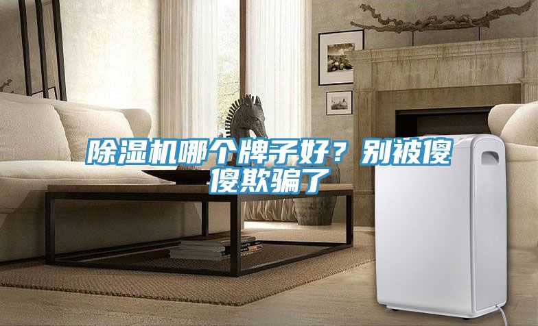 除濕機(jī)哪個(gè)牌子好？別被傻傻欺騙了