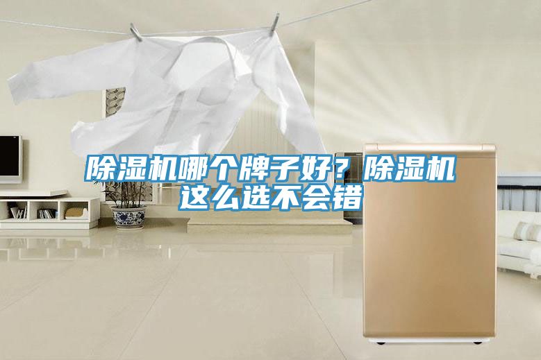 除濕機(jī)哪個(gè)牌子好？除濕機(jī)這么選不會錯(cuò)