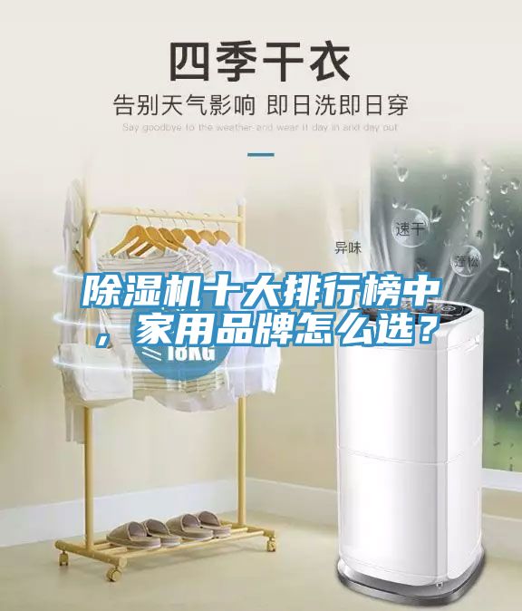 除濕機(jī)十大排行榜中，家用品牌怎么選？