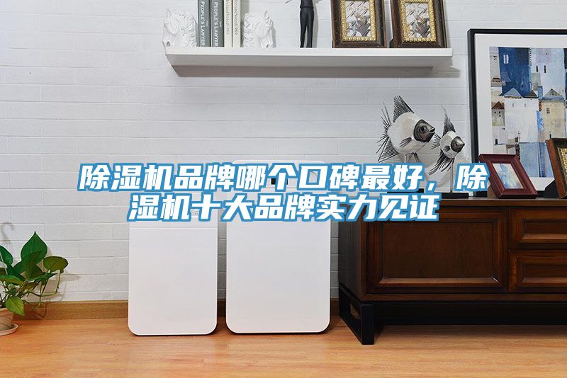除濕機(jī)品牌哪個(gè)口碑最好，除濕機(jī)十大品牌實(shí)力見證