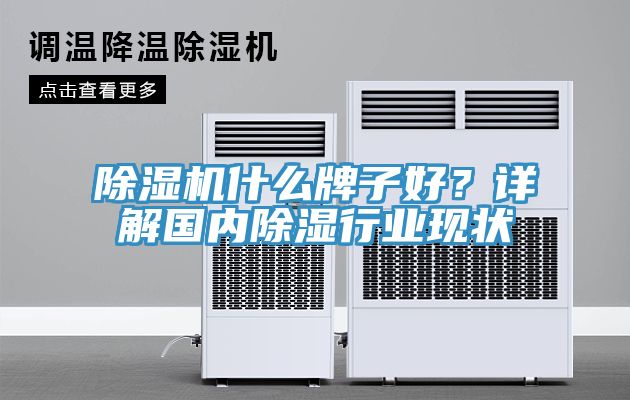 除濕機什么牌子好？詳解國內(nèi)除濕行業(yè)現(xiàn)狀