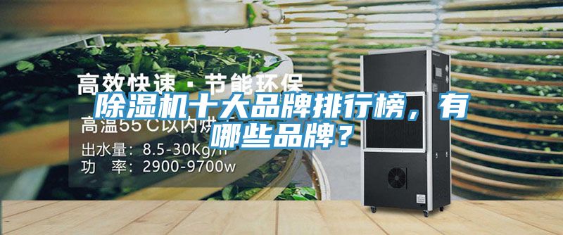 除濕機十大品牌排行榜，有哪些品牌？