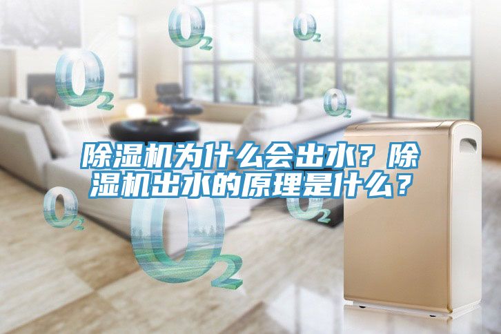 除濕機為什么會出水？除濕機出水的原理是什么？