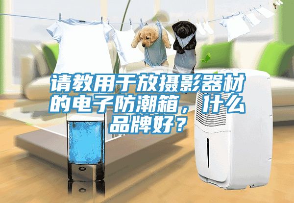 請(qǐng)教用于放攝影器材的電子防潮箱，什么品牌好？