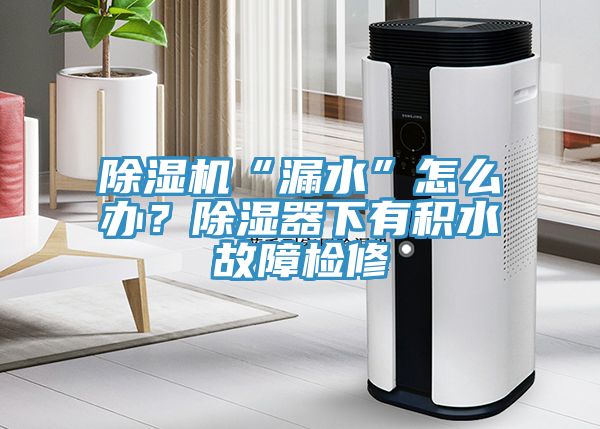 除濕機(jī)“漏水”怎么辦？除濕器下有積水故障檢修