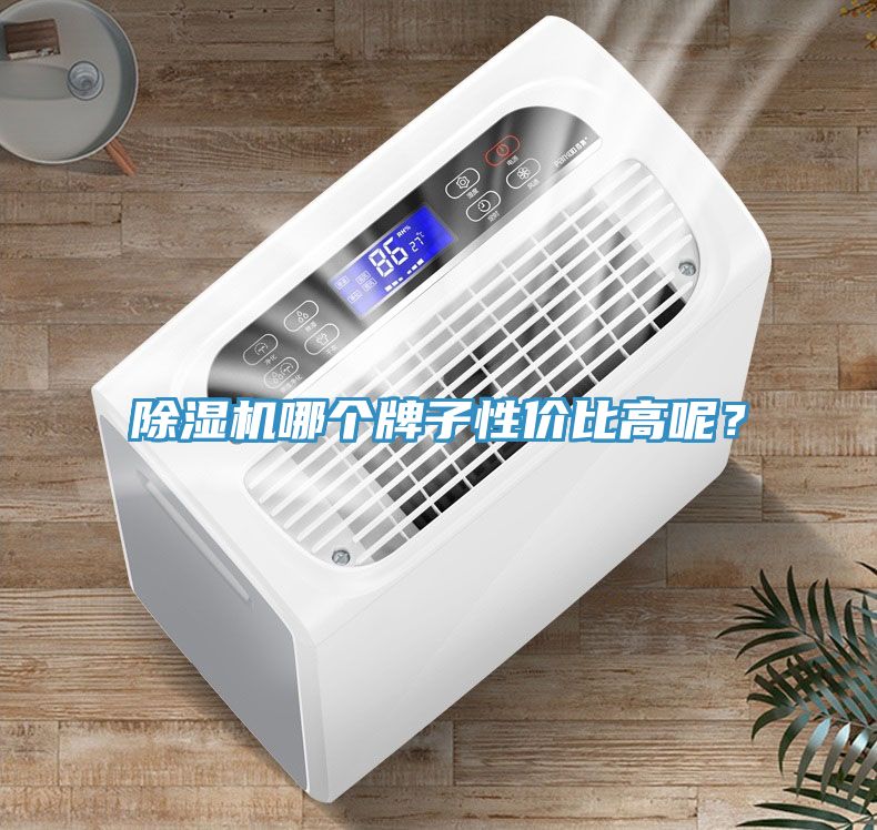 除濕機(jī)哪個(gè)牌子性價(jià)比高呢？