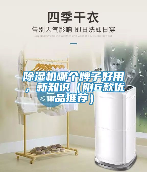 除濕機哪個牌子好用，新知識（附6款優(yōu)品推薦）