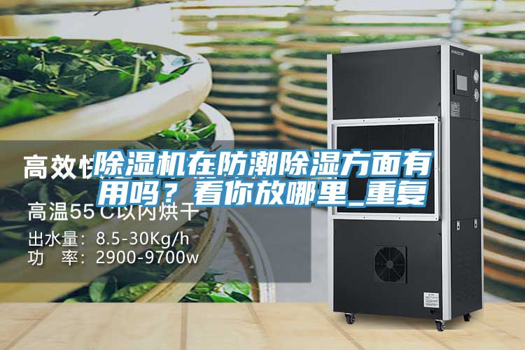 除濕機(jī)在防潮除濕方面有用嗎？看你放哪里_重復(fù)