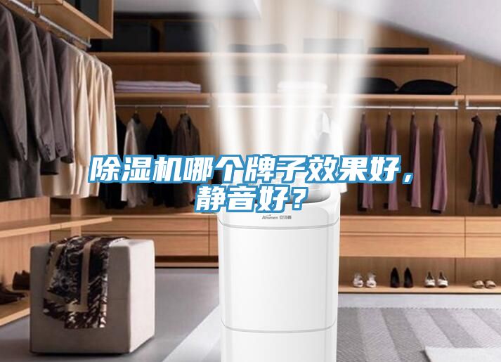 除濕機哪個牌子效果好，靜音好？