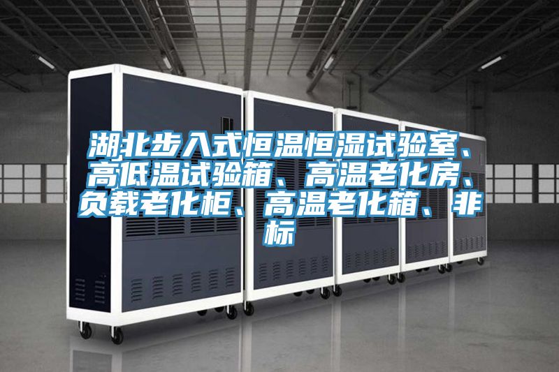 湖北步入式恒溫恒濕試驗(yàn)室、高低溫試驗(yàn)箱、高溫老化房、負(fù)載老化柜、高溫老化箱、非標(biāo)