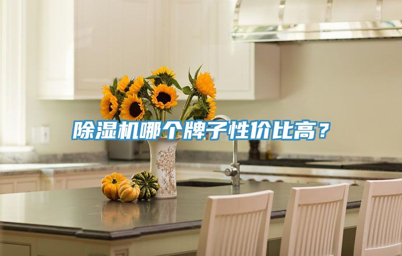 除濕機(jī)哪個(gè)牌子性價(jià)比高？